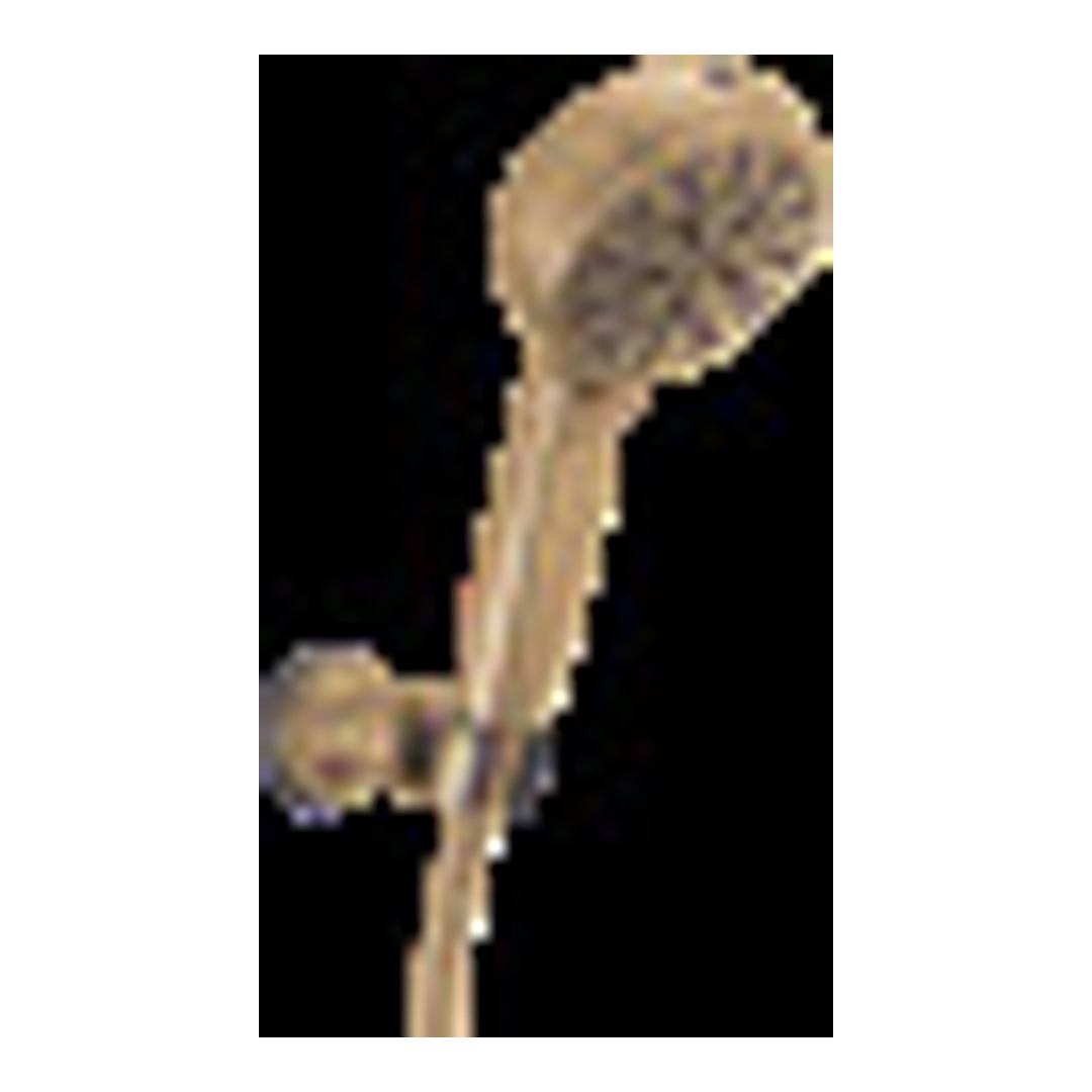 ProClean Multi-Function Shower Head-CZ-PR